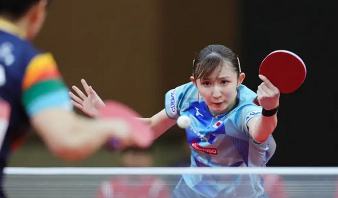 不仅展示了 不仅展示了