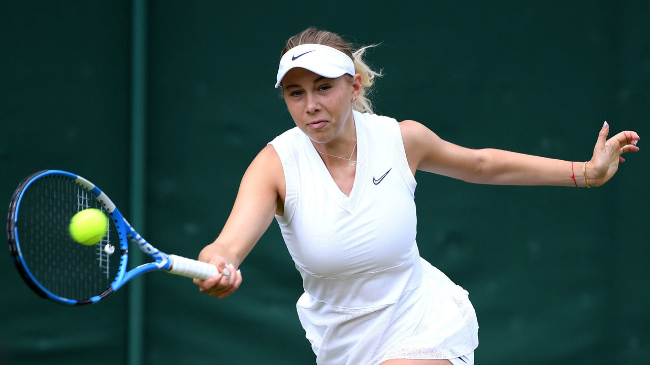 业发展与公 业发展与公